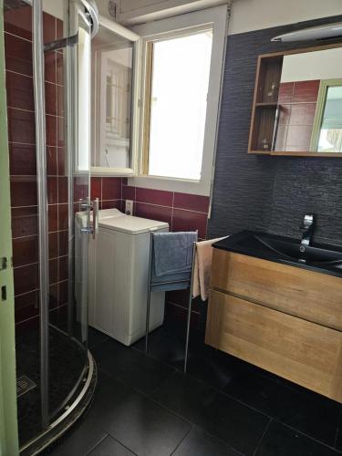 une salle de bain avec un lavabo et une douche dans l'établissement Cannes apartment near Croisette, à Cannes