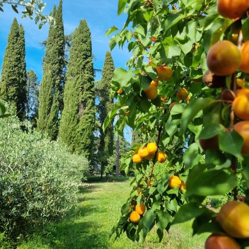 Taman di luar Calicanto - Dimora nel parco