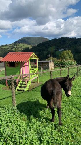 a black cow standing in a field next to a fence at Apartamentos La Quintana de Romillo in Romillo