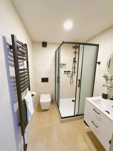 a bathroom with a shower and a toilet and a sink at Ubytování v Brně - Schodová in Brno