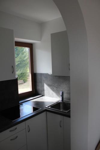 a kitchen with a sink and a window at Residence Lärchenhäusl in Soprabolzano
