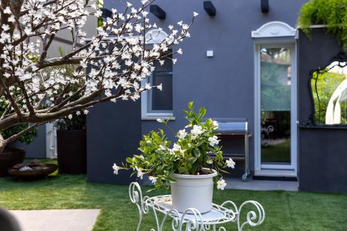 Сад в VILLA MONTI SUITES&APARTS