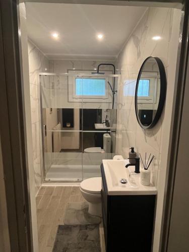 une salle de bain avec une douche, des toilettes et un lavabo dans l'établissement Charmant T2 - Cosy et confort - 4 pers, à La Motte-Servolex