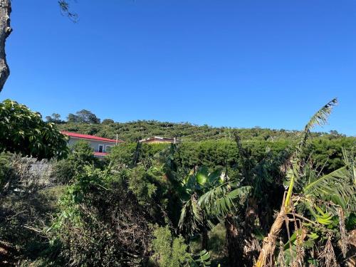 a house on top of a hill with trees at Casa de Campo La Gloria Ataco in Concepción de Ataco
