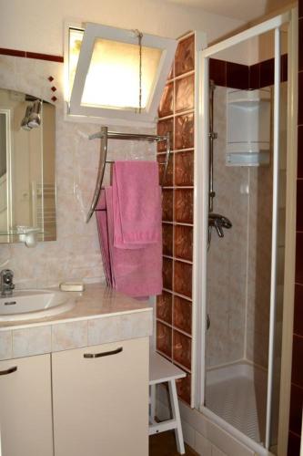 La salle de bains est pourvue d'un lavabo, d'une douche et d'une serviette rose. dans l'établissement Mimosa, aux Lecques