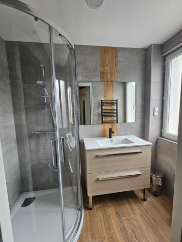 une salle de bain avec un lavabo et une douche dans l'établissement Le Meix du Lac 3 étoiles - 200 m du lac - 50 m navette ski, à Gérardmer