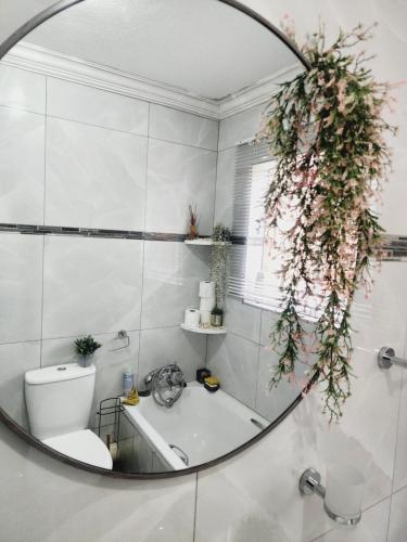 a mirror in a bathroom with a toilet and a sink at Olympia in Pretoria