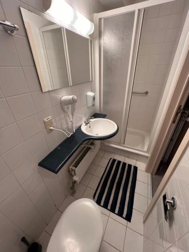 a bathroom with a toilet and a sink and a shower at Klappoel - by Cafe Rene Borgloon in Borgloon