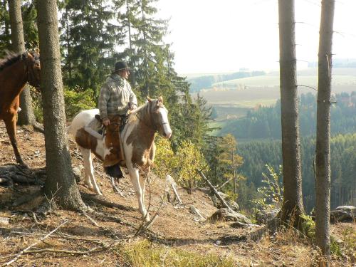 a man riding a horse on a hill at Apartmány Hájenka in Vápenka