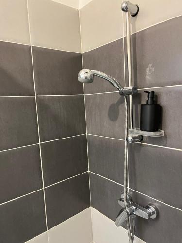 La salle de bains est pourvue d'une douche avec un robinet. dans l'établissement Loft Bohème & cosy Lit King size, à Carcassonne