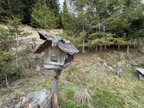 a bird house on a pole in a field at ALMNEST - LACHTAL in Lachtal