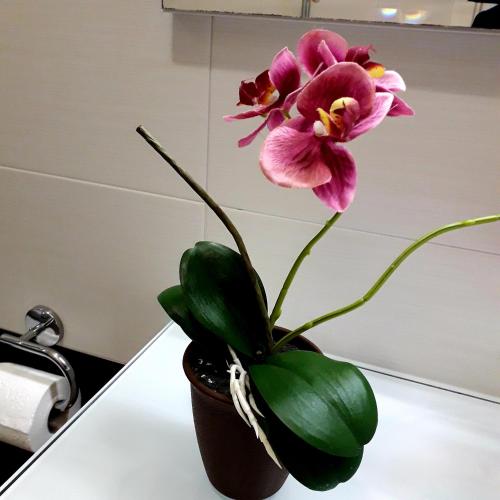 a pink flower in a vase on a counter at B&B Mercedes in Bologna