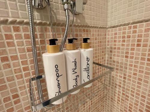 two rolls of toilet paper on a shelf in a bathroom at Marismas de Cantabria cerca de Laredo in Bádames