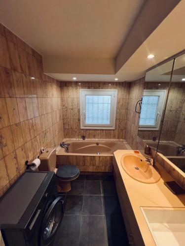 une salle de bain avec une baignoire, des toilettes et un lavabo dans l'établissement 2 pièces rez-de-jardin dans maison avec piscine, à Villeneuve-Loubet