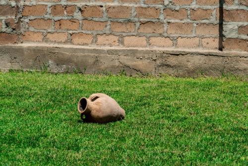 a dog laying in the grass in a field at Villa Musaler in Musalerr