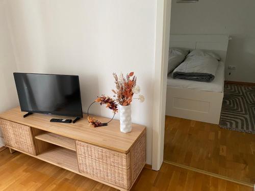 a living room with a television on a table with a bed at Apartment im Herzen von Thurnau in Thurnau