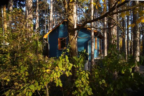 a blue tiny house in the woods at Surányi kék házak in Pócsmegyer