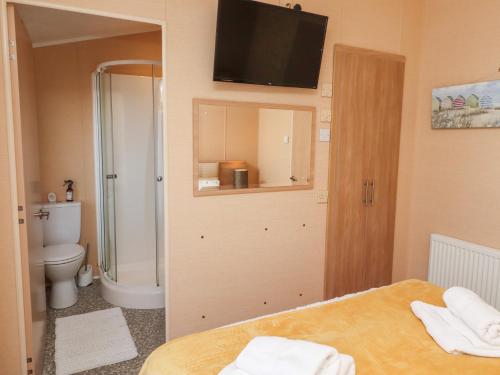 a bathroom with a toilet and a television on the wall at Percy Wood Country Park in Newton on the Moor