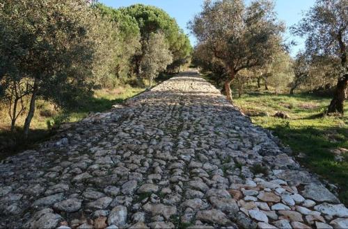 Φυσικό τοπίο κοντά σε αυτό το διαμέρισμα