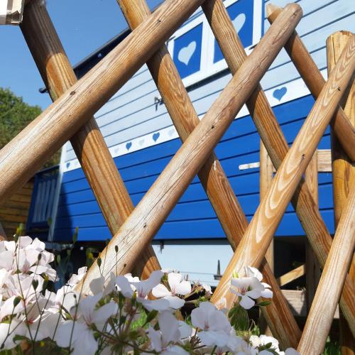 a wooden fence with white flowers in front of a blue building at Charming Caravan Near Hamois with Garden in Chevenia