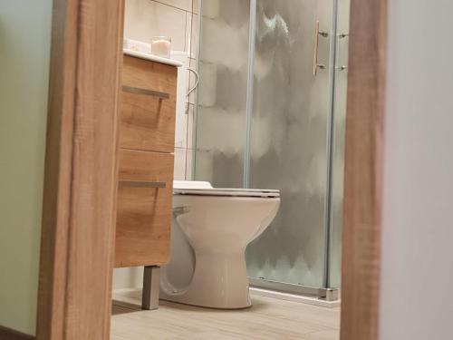 a bathroom with a toilet and a glass shower at Cozy Family Stay in Terme Čatež - Free Tickets and Thoughtful Touches in Čatež ob Savi