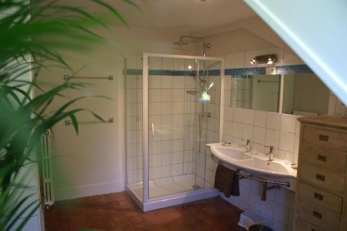 a bathroom with a shower and a sink and a mirror at B&B Vassy Etaule in Avallon