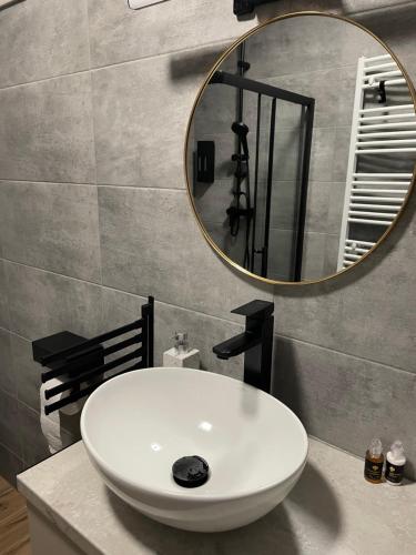 セゲドにあるPosh Cat City Apartmentの白い洗面台と鏡のあるバスルーム