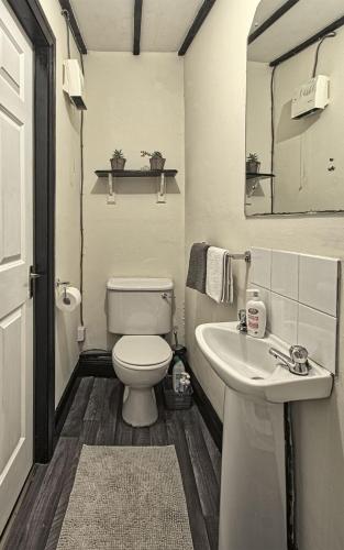 a white bathroom with a toilet and a sink at Peaceful tranquil Alpaca Farm in Wexford