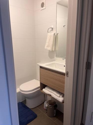 a bathroom with a sink and a toilet and a mirror at Alto Llaima Suites in Temuco