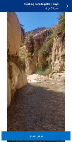 a picture of a river in a canyon at Dana's scenic trails in Dana