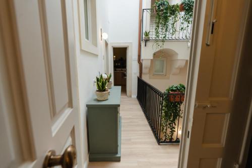 a hallway with a table with a potted plant on it at xenia apartments & suite in Siracusa
