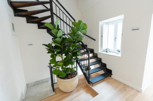 a staircase with a plant in a large pot at xenia apartments & suite in Siracusa