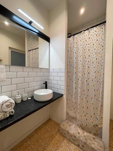une salle de bain avec un lavabo et une douche dans l'établissement Studio Nîmes, 6 rue Nationale, à Nîmes