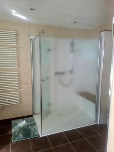 a shower with a glass door in a bathroom at Sirisferienhaus in Kurort Steinbach-Hallenberg