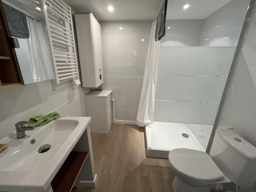 une salle de bain avec un lavabo, des toilettes et une douche dans l'établissement la maison d oscar, à Tulette