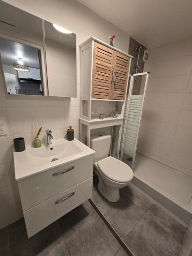 une salle de bain blanche avec des toilettes et un lavabo dans l'établissement Studio de charme avec jardin au Quatre-Moulins, à Brest