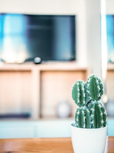 un cactus vert dans un pot blanc sur une table dans l'établissement PORT - Charmant Studio, à Nice