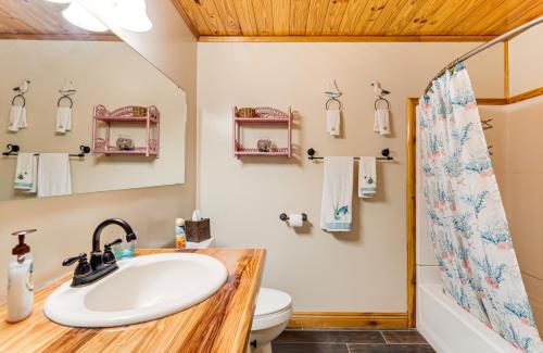 a bathroom with a sink and a toilet and a shower at Deck and Hot Tub Lakeside Retreat in Inverness! in Inverness