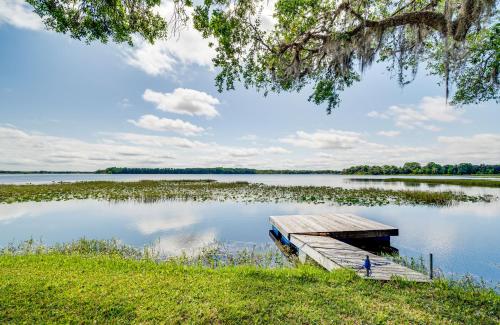 a dock on a lake with a tree overhead at Deck and Hot Tub Lakeside Retreat in Inverness! in Inverness