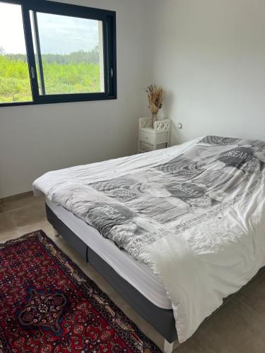 un grand lit dans une chambre avec une fenêtre dans l'établissement Maison entre océan et forêt landaise, à Vielle-Saint-Girons