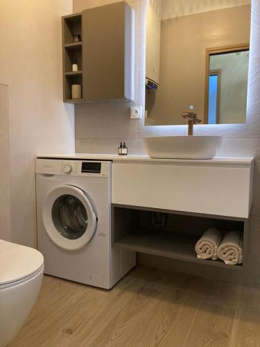 a bathroom with a washing machine and a sink at La mini villa Ondella à Porticcio in Grosseto-Prugna