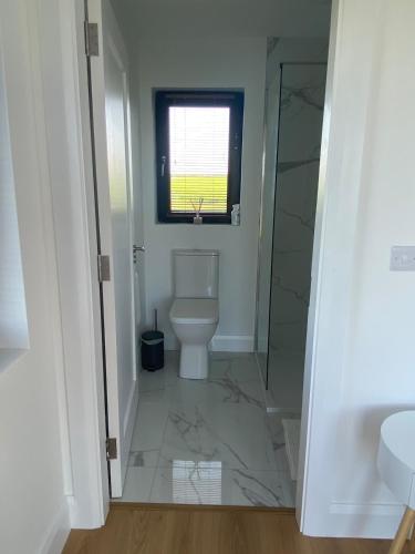 a bathroom with a toilet and a walk in shower at Ardmore's Modern Beach House in Ardmore