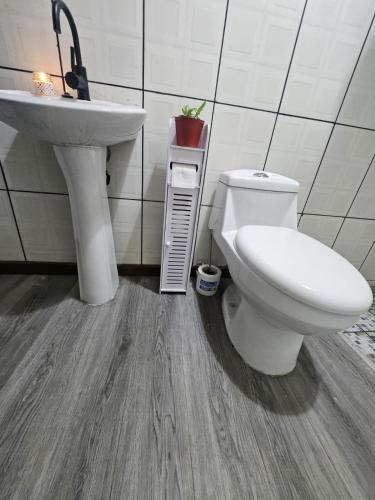 Koupelna v ubytování Casa Torogoz