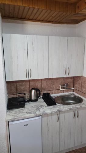 a kitchen with a sink and a counter top at DRAGON GARDEN Tara Bridge View in Žabljak