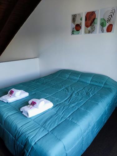ein blaues Bett mit Handtüchern darüber in der Unterkunft Confortable y espacioso Loft! Excelente ubicación in El Calafate