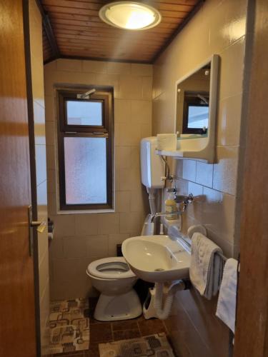 a bathroom with a toilet and a sink and a mirror at Kraljevi Konaci Olja in Zlatibor