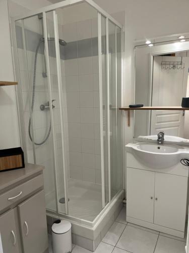 un baño con ducha y lavabo en Le lodge, en Le Crotoy
