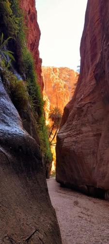 a narrow path in a canyon between two large rocks at Dana's scenic trails in Dana