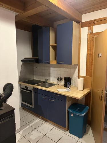 a kitchen with blue cabinets and a sink at Ferienhof HaaBo in Büttlerdeich