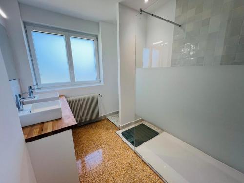 une salle de bain avec un lavabo et une douche avec une fenêtre dans l'établissement La Joliette, maison 5 chambres, à Rumegies
